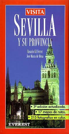 Imagen de archivo de Visita Sevilla y su Provincia a la venta por medimops