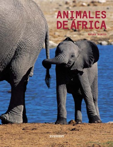 9788424185053: Animales de Africa