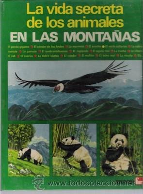 Stock image for Vida Secreta Animales Montaas (vida Secreta De Los Animales) for sale by RecicLibros