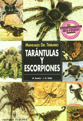 Imagen de archivo de Manuales Del Terrario. Tarntulas Y Escorpiones a la venta por RecicLibros