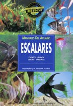 Beispielbild fr Escalares : cuidados, crianza, especies y variedades zum Verkauf von Librera Prez Galds