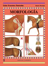 9788425513695: Morfologa (Guas ecuestres ilustradas)