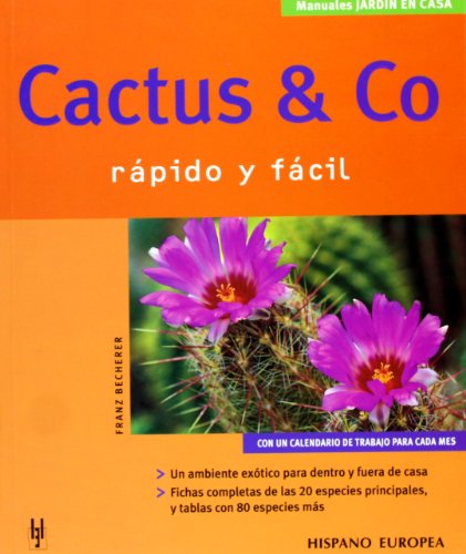 CACTUS & CO