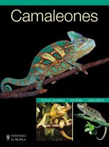 9788425517174: Camaleones (Reptiles) (Spanish Edition)