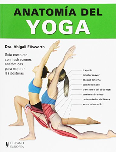 Beispielbild fr Anatoma del yoga zum Verkauf von Agapea Libros