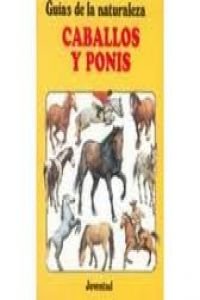 Stock image for Caballlos y Ponis for sale by medimops