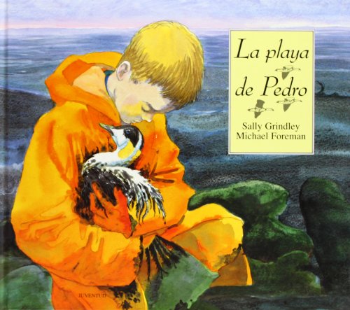 9788426133144: La playa de Pedro (GRANDES ALBUMES ILUSTRADOS)