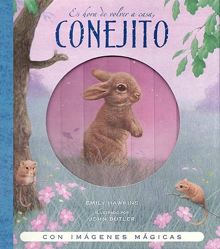 Es hora de volver a casa, Conejito (Spanish Edition) (9788426137906) by Hawkins, Emily