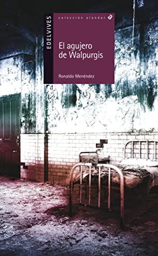 Imagen de archivo de AGUJERO DE WALPURGIS, EL a la venta por KALAMO LIBROS, S.L.