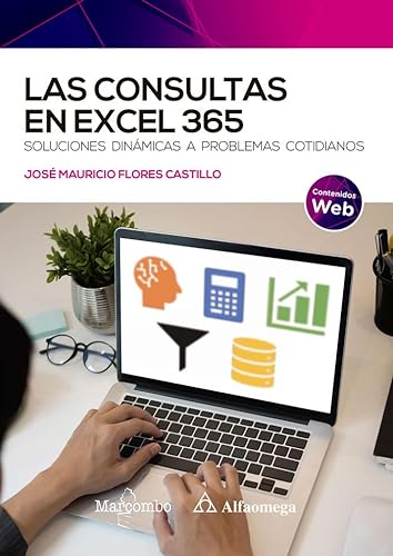Stock image for Las consultas en Excel 365 for sale by Agapea Libros