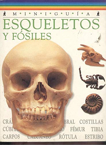Beispielbild fr Esqueletos y fosiles minigua zum Verkauf von medimops