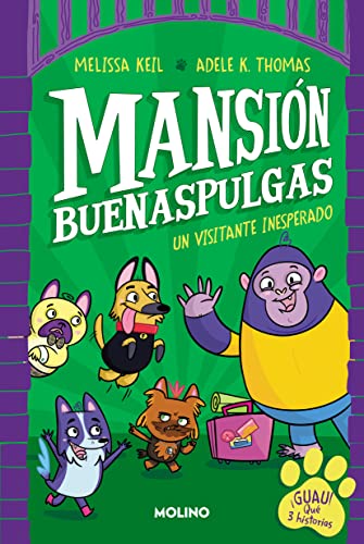 Stock image for UN VISITANTE INESPERADO (MANSIN BUENASPULGAS 1) for sale by KALAMO LIBROS, S.L.