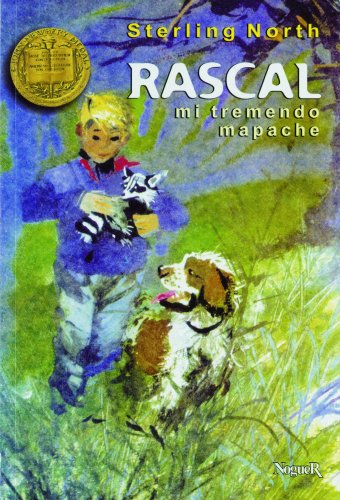 9788427931091: Rascal, mi tremendo mapache (Spanish Edition)