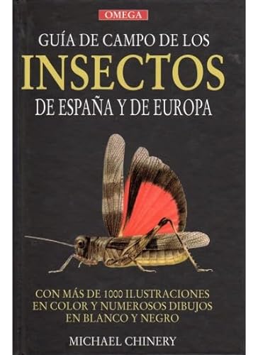 Stock image for Gua de campo de los insectos de Espaa y de Europa (GUIAS DEL NATURALISTA-INSECTOS Y ARACNIDOS) for sale by medimops
