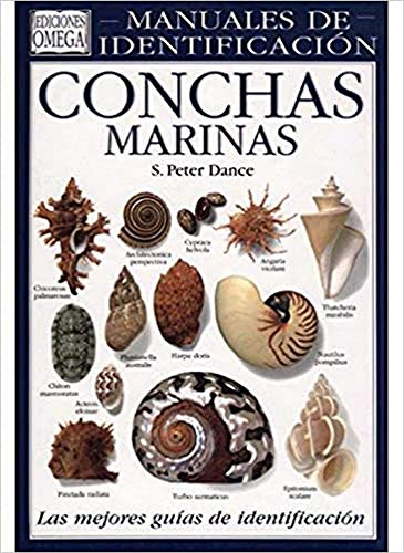 9788428209380: Conchas marinas : una gua visual