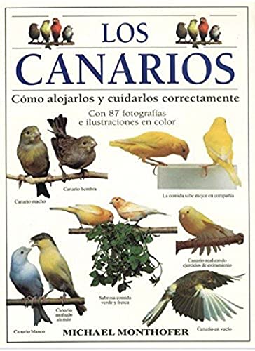 9788428211123: LOS CANARIOS (GUIAS DEL NATURALISTA-AVES EXTICAS-PERIQUITOS-CANARIOS)