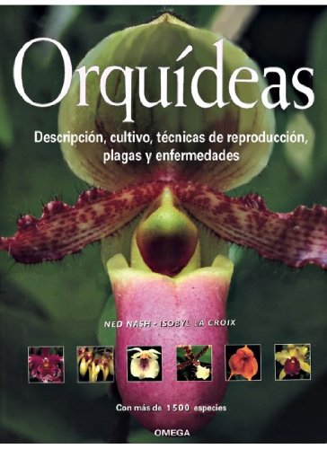 Stock image for ORQUIDEAS for sale by Siglo Actual libros