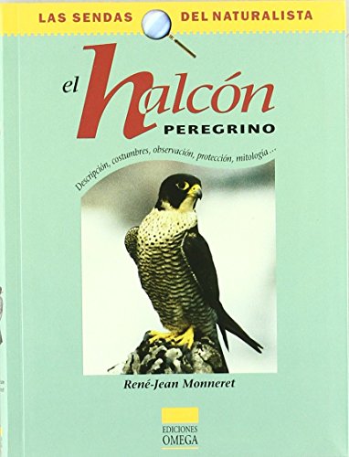 Stock image for EL HALCON PEREGRINO MONNERET, R.J. for sale by Iridium_Books