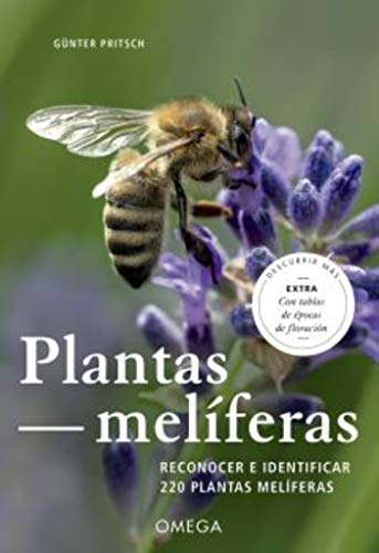 Stock image for PLANTAS MELIFERAS for sale by AG Library