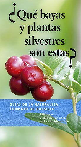 Imagen de archivo de QU BAYAS Y PLANTAS SILVESTRES SON ESTAS? a la venta por Agapea Libros