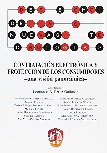 9788429019667: Contratacin electrnica y proteccin de los consumidores: Una visin panormica (Derecho de las nuevas tecnologas)