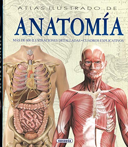 9788430534784: Atlas Ilustrado De Anatomia (Tapa Dura)