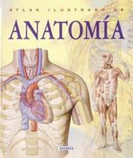 Stock image for ATLAS DE ANATOMIA HISTORIA ILUSTRADA for sale by Iridium_Books