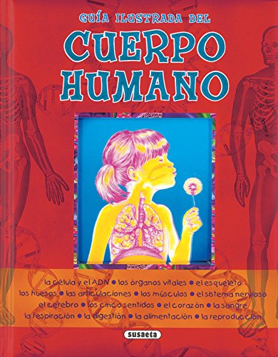 Stock image for Gua ilustrada del cuerpo humano (Gua Ilustrada Cuerpo Humano) for sale by medimops
