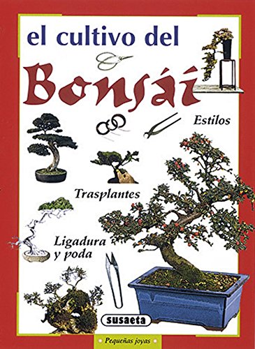 El bonsái (Pequeñas Joyas) - Susaeta, Equipo