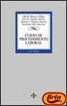 9788430937431: Curso de procedimiento laboral / Course of work procedure (Derecho)