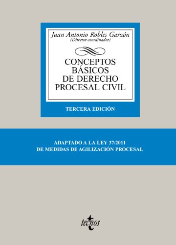 Stock image for Conceptos Bsicos de Derecho Procesal Civil for sale by Hamelyn