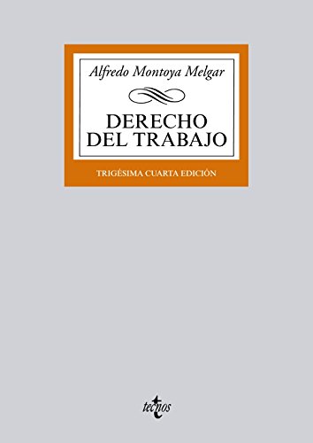 9788430958917: Derecho del Trabajo (Spanish Edition)