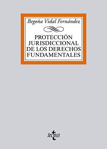 Imagen de archivo de PROTECCIN JURISDICCIONAL DE LOS DERECHOS FUNDAMENTALES. a la venta por KALAMO LIBROS, S.L.