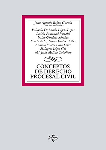 Imagen de archivo de CONCEPTOS DE DERECHO PROCESAL CIVIL. a la venta por KALAMO LIBROS, S.L.