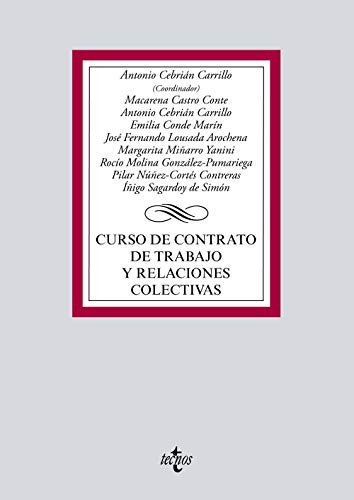 Stock image for Curso de Contrato de Trabajo y Relaciones Colectivas for sale by Hamelyn