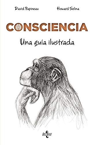 Imagen de archivo de CONSCIENCIA. UNA GUA ILUSTRADA a la venta por KALAMO LIBROS, S.L.