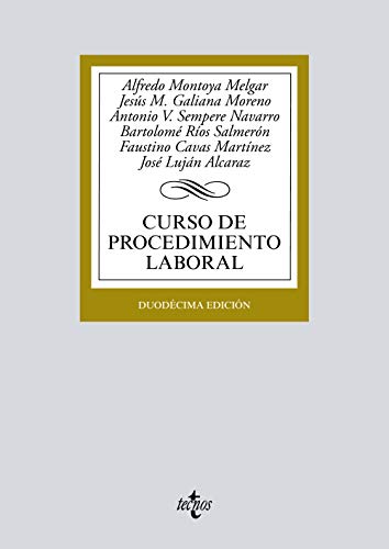 Stock image for CURSO DE PROCEDIMIENTO LABORAL. for sale by KALAMO LIBROS, S.L.