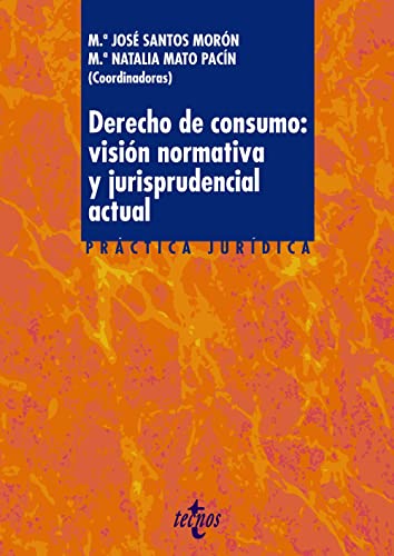 Stock image for DERECHO DE CONSUMO: VISIN NORMATIVA Y JURISPRUDENCIAL ACTUAL. for sale by KALAMO LIBROS, S.L.