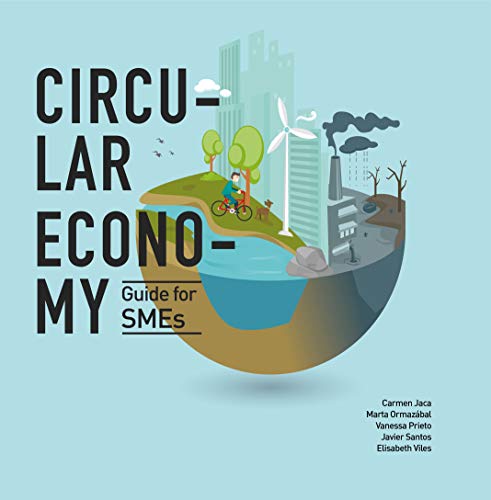 literature review on circular economy