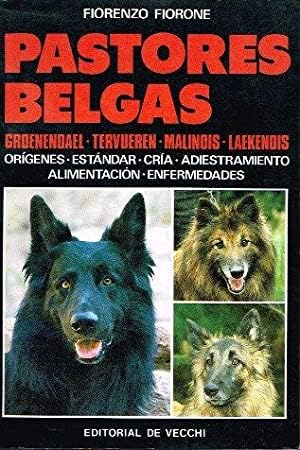 Imagen de archivo de PASTORES BELGAS. Groenendael, Tervueren, Malinois, Laekenois. a la venta por Librera Gonzalez Sabio