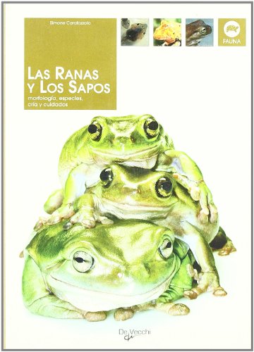 Beispielbild fr Las Ranas y los Sapos zum Verkauf von Hamelyn