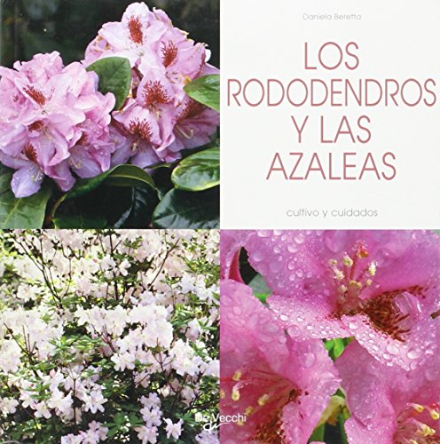 Beispielbild fr Rododendros y las azaleas, los - cultivo y cuidados (Agricultura Y Horticultura) zum Verkauf von medimops