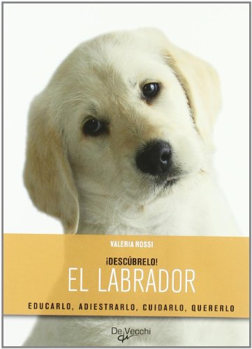 9788431539313: Labrador, el (Descubrelo (de Vecchi))