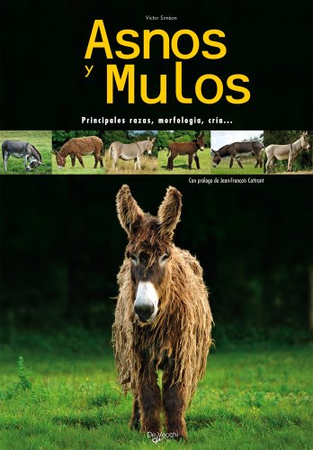 9788431539689: Asnos y Mulos