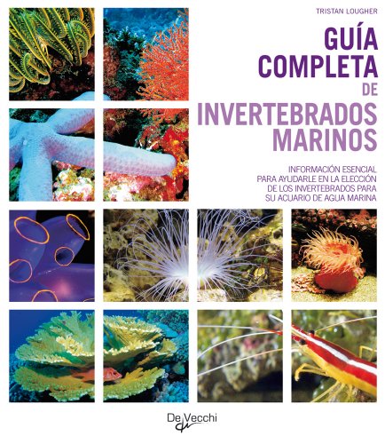 9788431539740: Gua completa de invertebrados marinos (Animales)