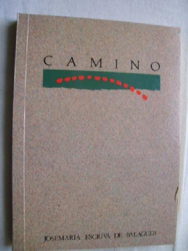 9788432107641: Camino (Spanish Edition)