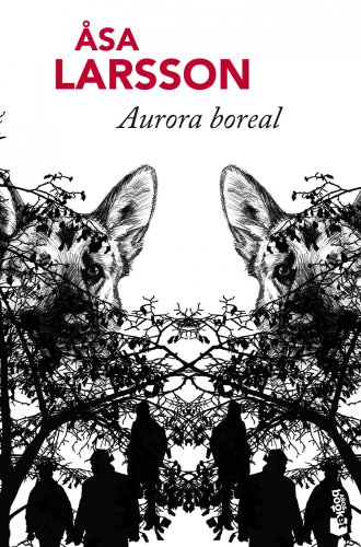 9788432251160: Aurora boreal