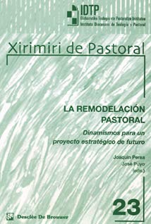 9788433019066: La remodelacin pastoral. Dinamismo para un proyecto estratgico de futuro (Institituto Diocesano de Teologa y Pastoral) (Spanish Edition)