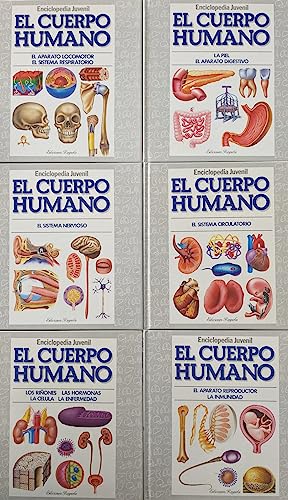 Imagen de archivo de El cuerpo humano IV a la venta por LibroUsado | TikBooks