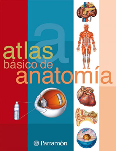 9788434223141: Atlas bsico de anatoma (Atlas bsicos)